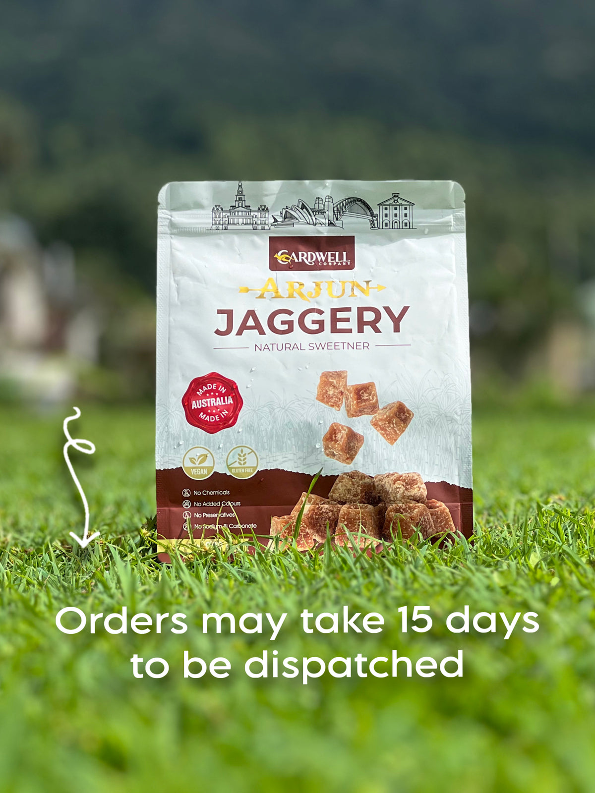Arjun Jaggery Cubes